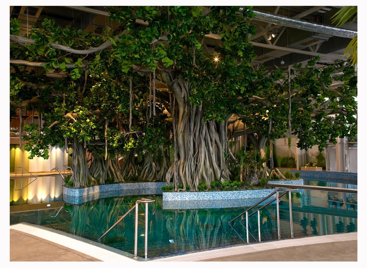 Amazonia Apartments Тимишоара Экстерьер фото
